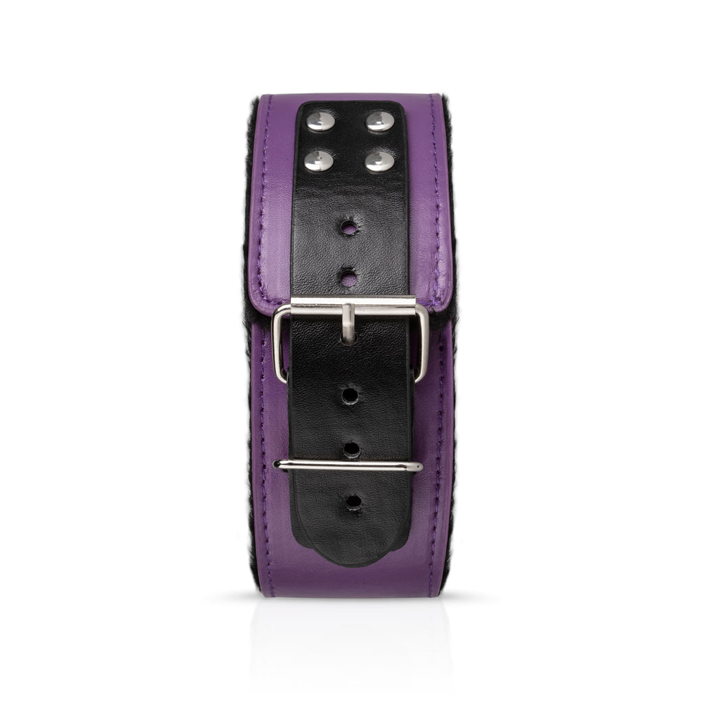 Plezo Secret Pleasure Chest – Purple Affair Set